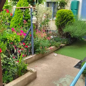 Sur Jardin Appartement Villejuif